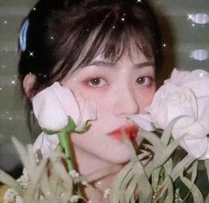 烟雨神游记