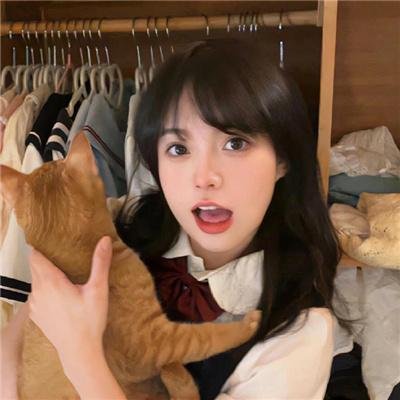 野良与皇女与流浪猫之心